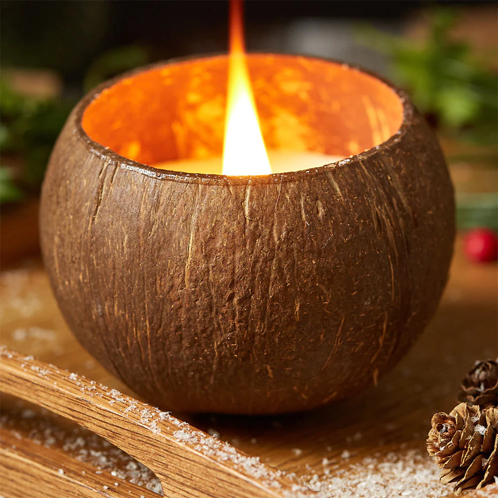 Coconut Shell Candle - Toasted Coconut Scent